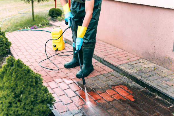 Best Residential Pressure Washing Services  in Zeeland, MI