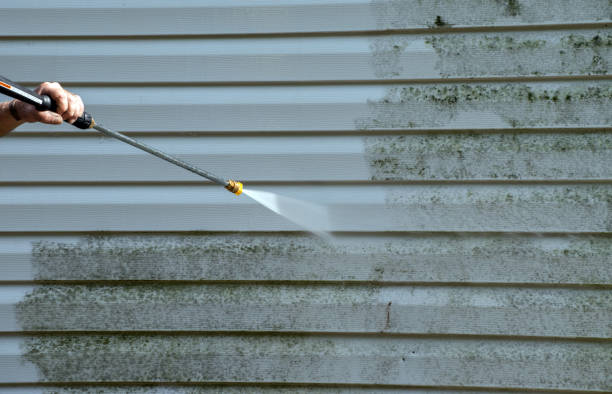 Best Affordable Pressure Washing  in Zeeland, MI