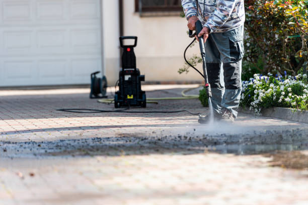 Best Deck Pressure Washing  in Zeeland, MI