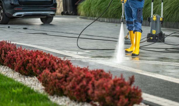 Best Local Pressure Washing Services  in Zeeland, MI