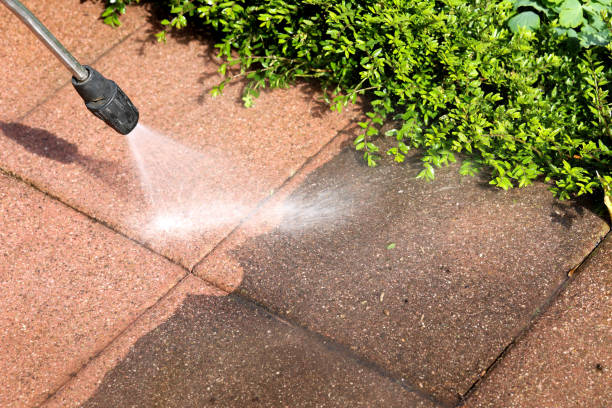 Best Residential Pressure Washing Services  in Zeeland, MI